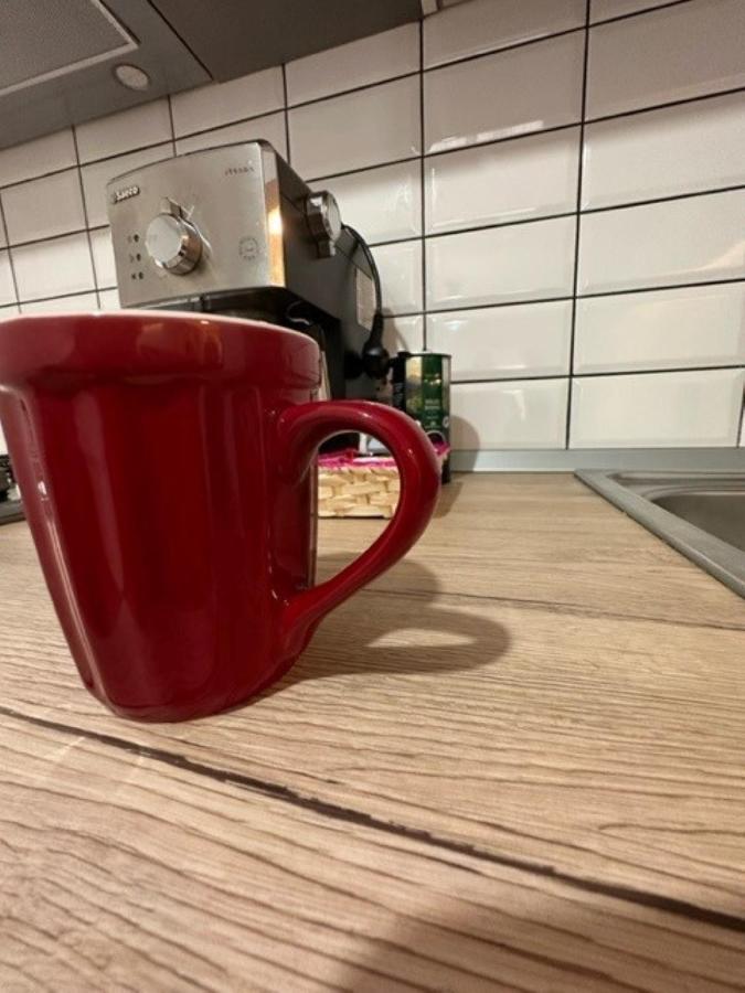 クラヨーヴァEscape Loungeアパートメント エクステリア 写真